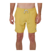 Salty-Crew-Lowtide-Elastic-Boardshort-Seaweed-Front.jpg