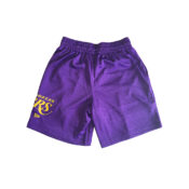 New-Era-Los-Angeles-Lakers-F2-Shorts-Purple-Gold-back.jpg