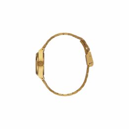 Nixon Small Time Teller Watch All Gold