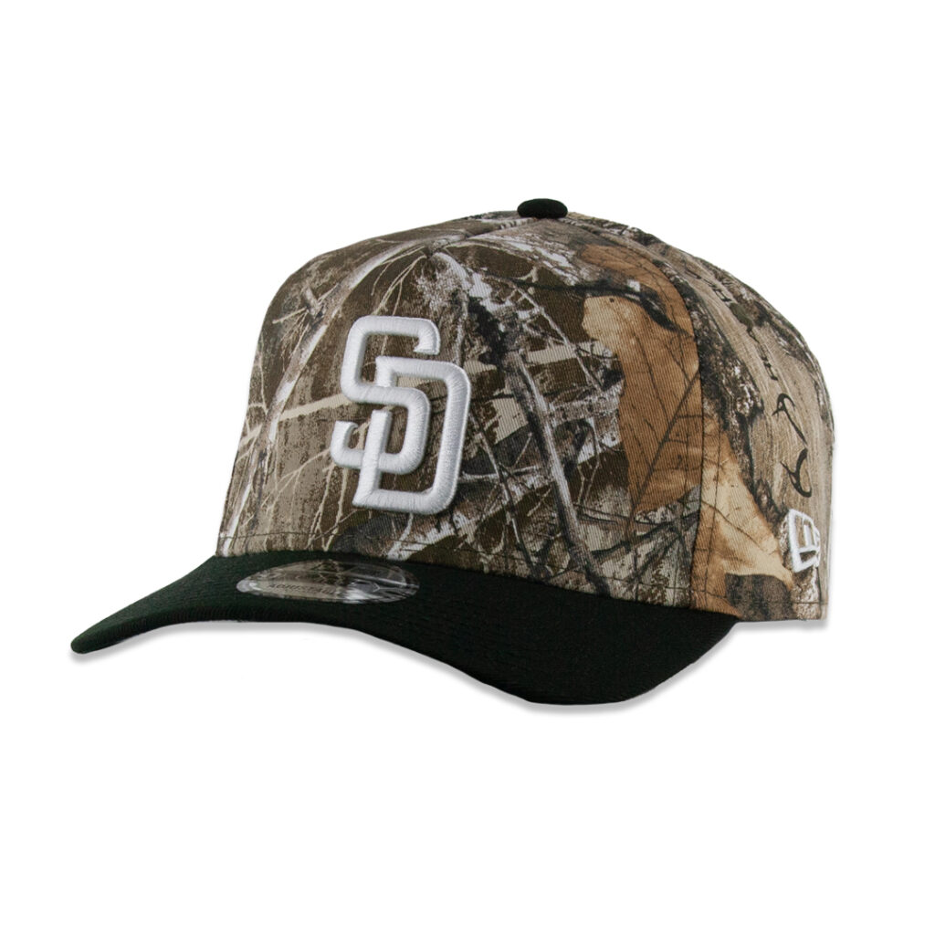 lebronland hat new era for sale