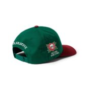 Primitive-Por-Vida-Snapback-Hat-Green-Back.jpg