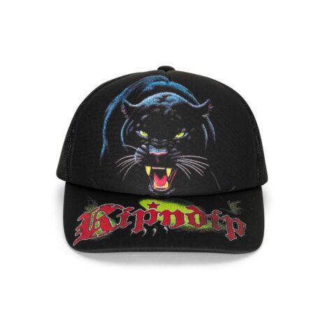 Ripndip Fein Trucker Snapback Hat Black