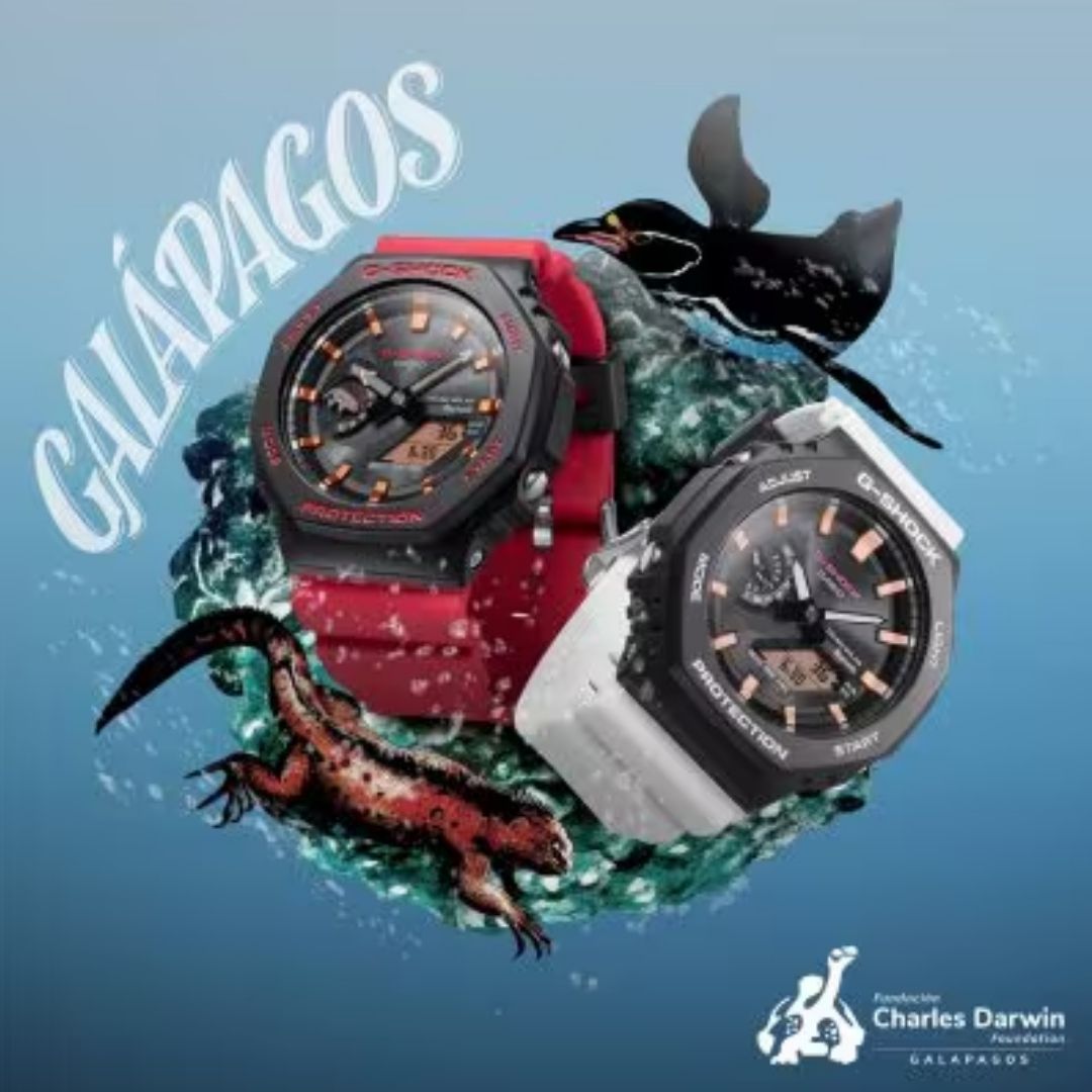 G-SHOCK GA-2100 ブラック/レッド imgrc0073189252.jpg
