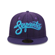 New-Era-59Fifty-Arizona-Diamondbacks-Fitted-Hat-Purple-Blue-Front.jpg
