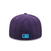 New-Era-59Fifty-Arizona-Diamondbacks-Fitted-Hat-Purple-Blue-back.jpg