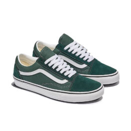 Vans Old Skool Color Theory Shoe Scarab