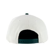 New-Era-9Forty-San-Diego-Padres-Adjustable-A-Frame-Snapback-Hat-Chrome-White-Dark-Green-back.jpg