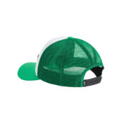 Vans-Classic-Patch-Curved-Bill-Mesh-Trucker-Snapback-Hat-Vivid-back.jpg