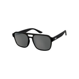 Vans Welton Sunglasses Black