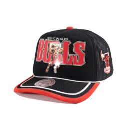 Mitchell & Ness x LRG Chicago Bulls Wild Art Mesh Trucker Snapback Hat Black
