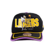 Mitchell-Ness-x-LRG-Los-Angeles-Lakers-Wild-Art-Mesh-Trucker-Snapback-Hat-Black-front.jpg