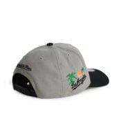 Mitchell-Ness-Los-Angeles-Dodgers-In-The-City-Pro-Snapback-Hat-Grey-right.jpg