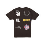 New-Era-San-Diego-Padres-Pinstripe-Jersey-Short-Sleeve-T-Shirt-Brown-Gold-back.jpg
