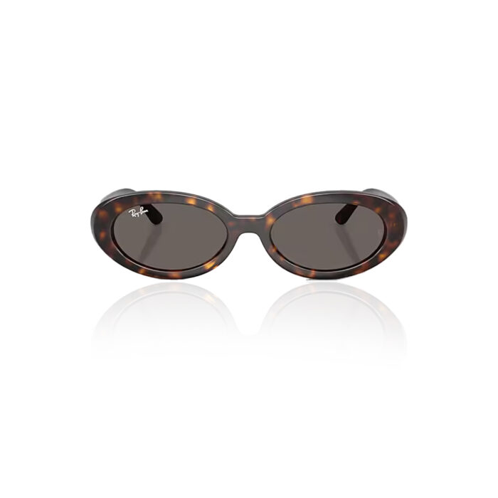 Ray-Ban-RB2223-Sunglasses-Polished-Havana-Dark-Grey-front.jpg Ray-Ban-RB2223-Sunglasses-Polished-Havana-Dark-Grey-front.jpg