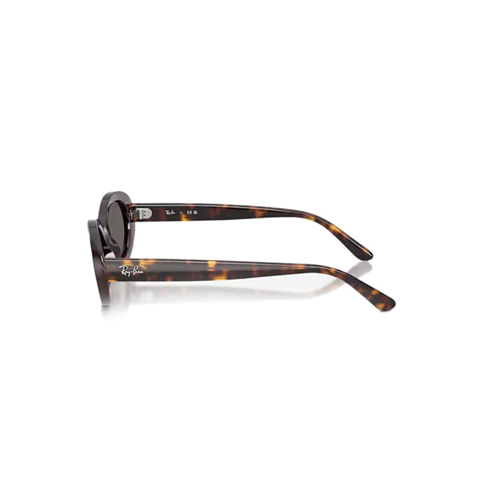 Ray-Ban-RB2223-Sunglasses-Polished-Havana-Dark-Grey-left.jpg Ray-Ban-RB2223-Sunglasses-Polished-Havana-Dark-Grey-left.jpg