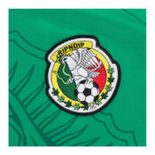 Ripndip-x-FIFA-RND-Cup-Mexico-Soccer-Jersey-Green-logo-close-up.jpg