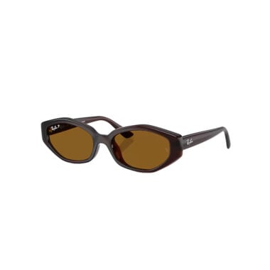 Ray-Ban RB4473D Sunglasses Dark Brown Dark Brown Polarized