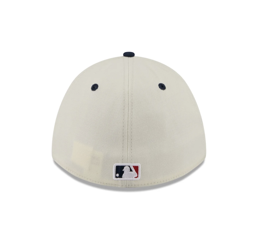 39thirty m-crown new era hat back