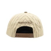 Mitchell-Ness-San-Diego-Padres-Retro-Roots-Pinstripe-Pro-Snapback-Hat-Cream-White-Brown-back.jpg